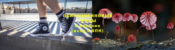 дурь Арсеньев
