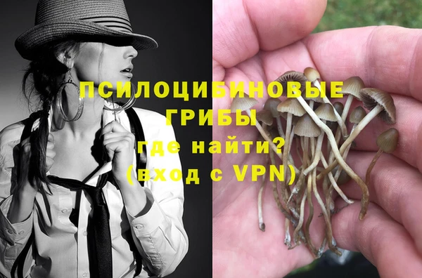 MDMA Premium VHQ Аркадак