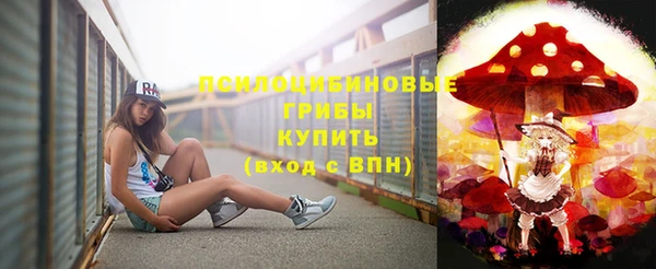 дурь Арсеньев